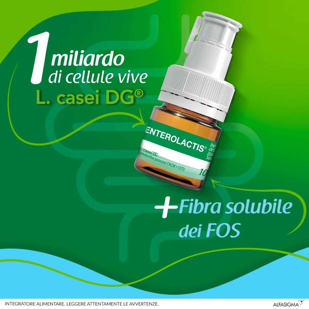 ENTEROLACTIS Fibres liquides Enterolactis 12 flacons de 10 ml pour le bien-être de la flore intestinale