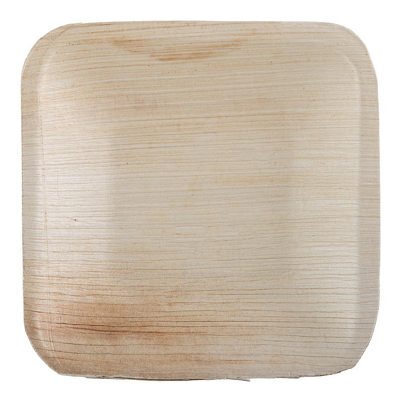 Nature Engångstallrik 10-pack 21 cm