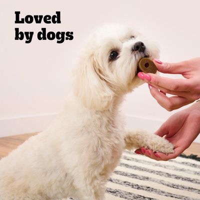 Pedigree Multivitamin-Immunitätspräparate