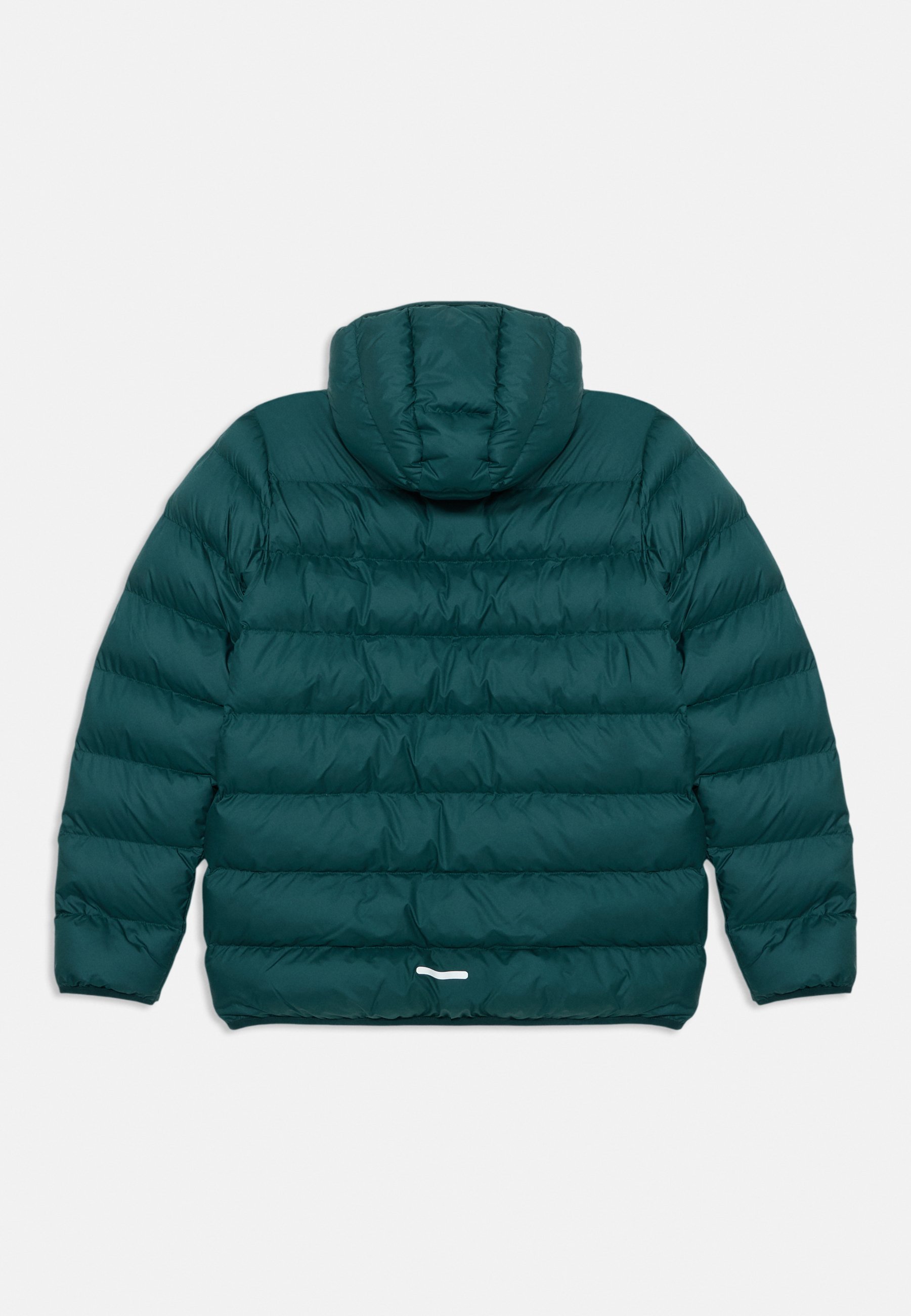 adidas Performance JACKET JUNIOR UNISEX - Kurtka zimowa - aurora ivy/preloved teal/powder teal