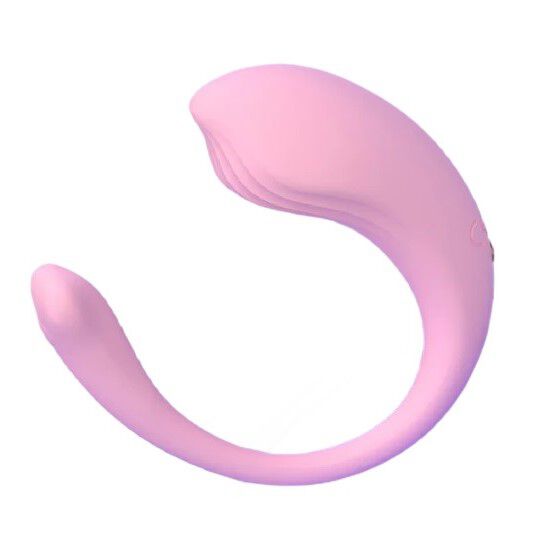 S-Hande Whale Mini-RTC