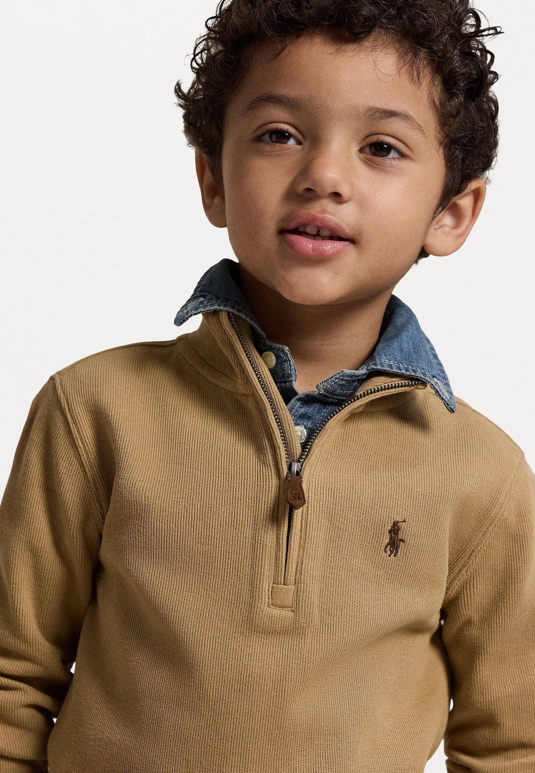 Polo Ralph Lauren REBRASTI PULLOVER S ČETVRTINSKOM ZATVARANJEM - Džemper - boja devine