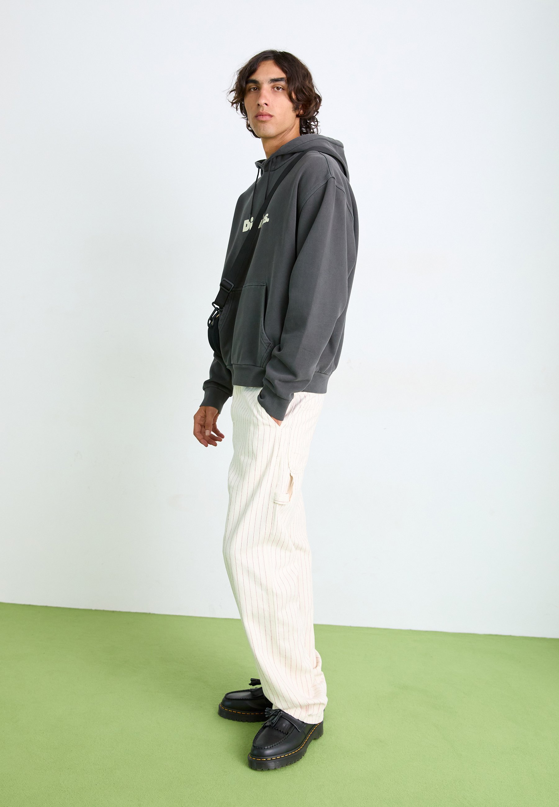 Dickies Hoodies