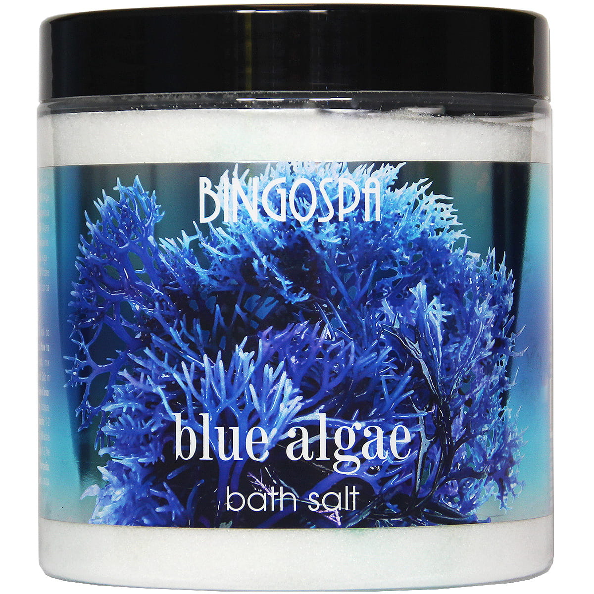 Bingospa