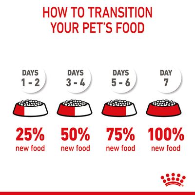 Royal Canin anya és bébi macskatáp