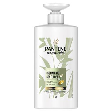 Pantene Pro-V Miracles Growth With Power -shampoo Hiustenlähtöä ehkäisevä bambukasvua ja -vahvuutta parantava shampoo 500 ml 500 ml