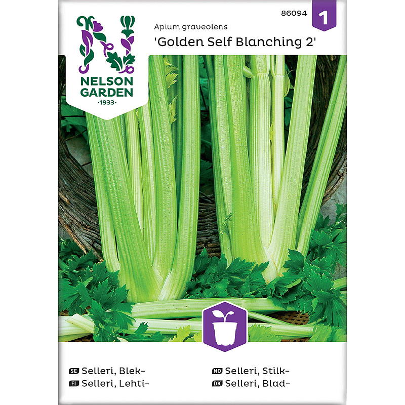 Nelson Gartenselleriesamen, Goldene Selbstbleiche