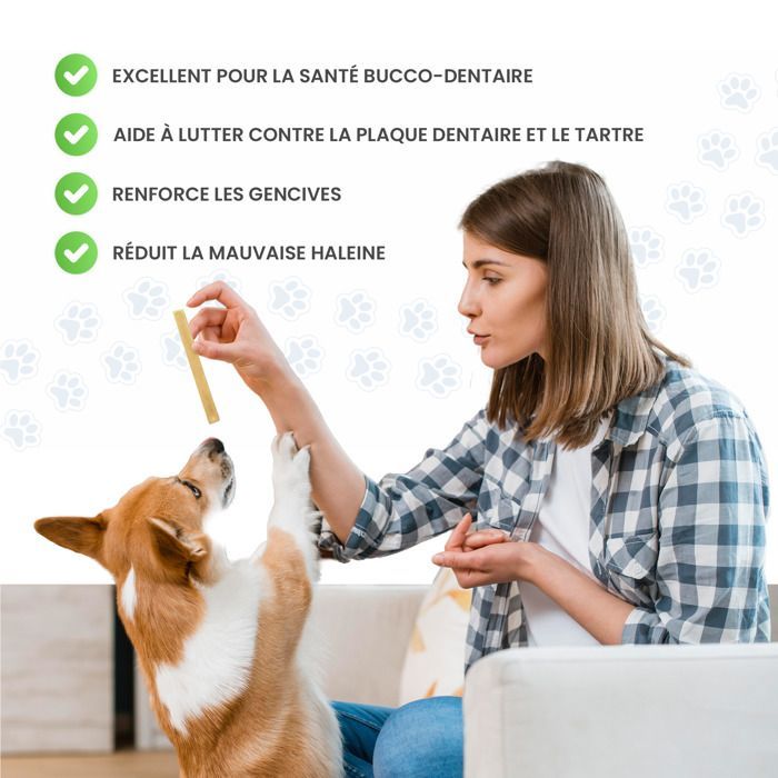 Barra de cúrcuma Healthy Pets para perros: contra el sarro y para la higiene dental. Ideal para cachorros y perros adultos.