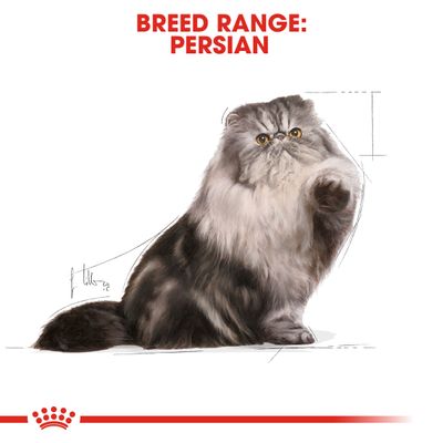 Royal Canin Persian Adult en pain