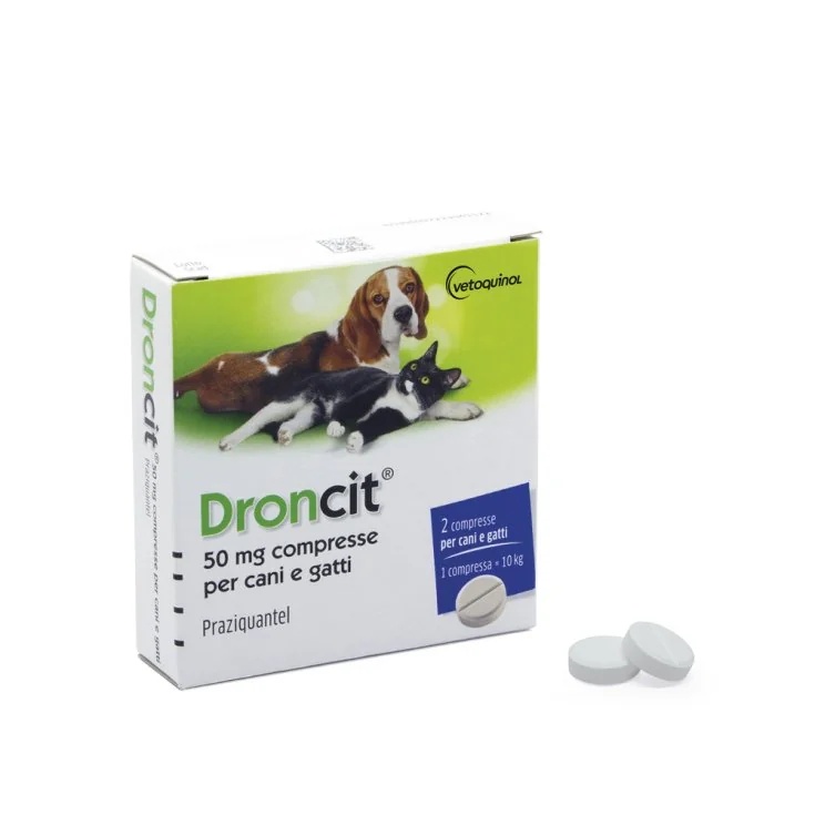 DRONCIT Droncit 2 comprimés 50 mg