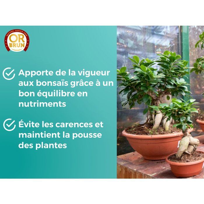 Engrais bonsaïs - OR BRUN - OBRECLBONSAI250 - 250 ml - Améliore et favorise la croissance - Fabriqué en France