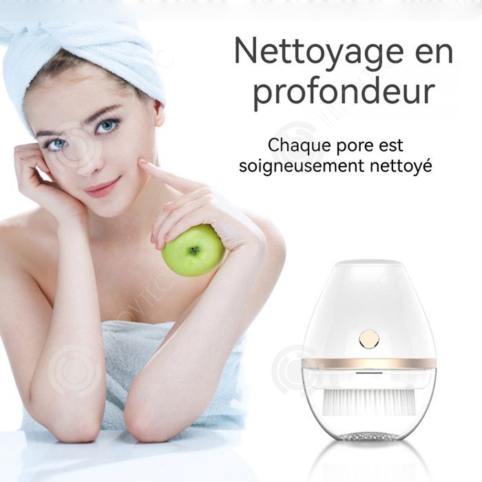 INN Brosse Nettoyante Visage 2 vitesses 300mAH Nettoyant visage à ultrasons en silicone Corps entièrement imperméable Brosse