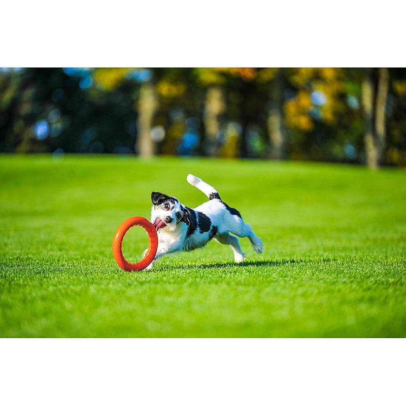 Hundelegering ø 17 cm