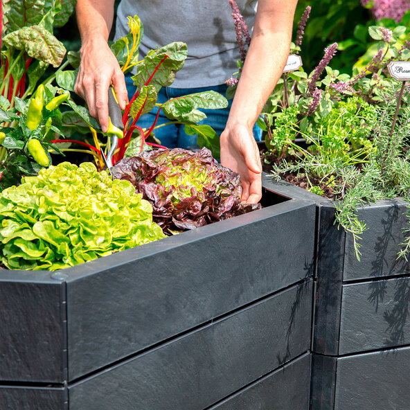 ERGO raised bed Stony L 75