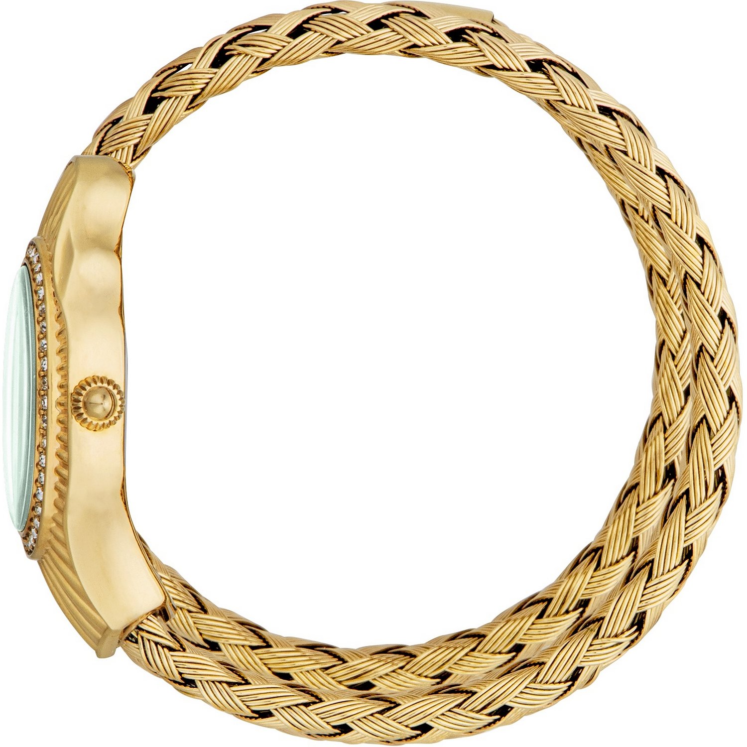 Roberto Cavalli Montres