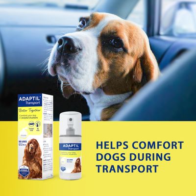 Spray de transport ADAPTIL®