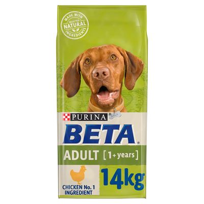 BETA Adult Chicken