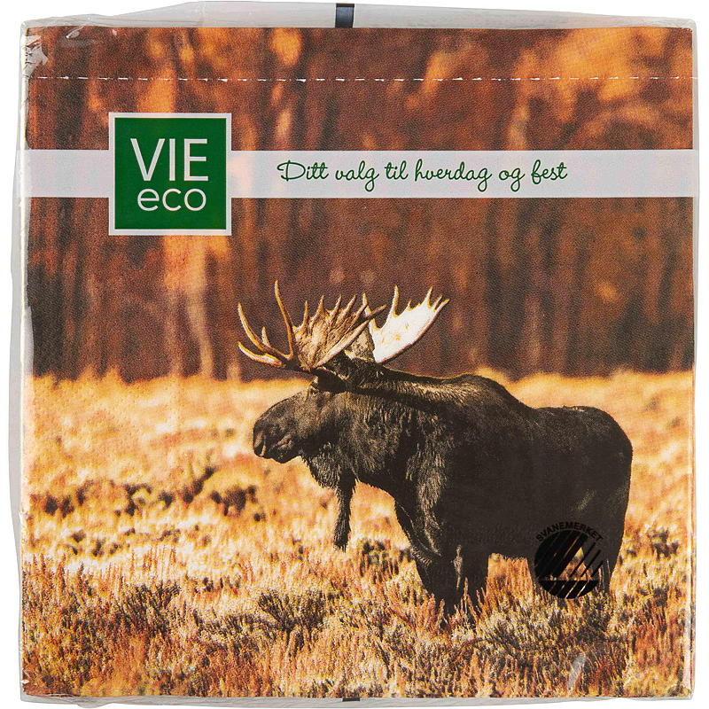 Vie Eco Servetter 20-pack 33x33 cm, Höst