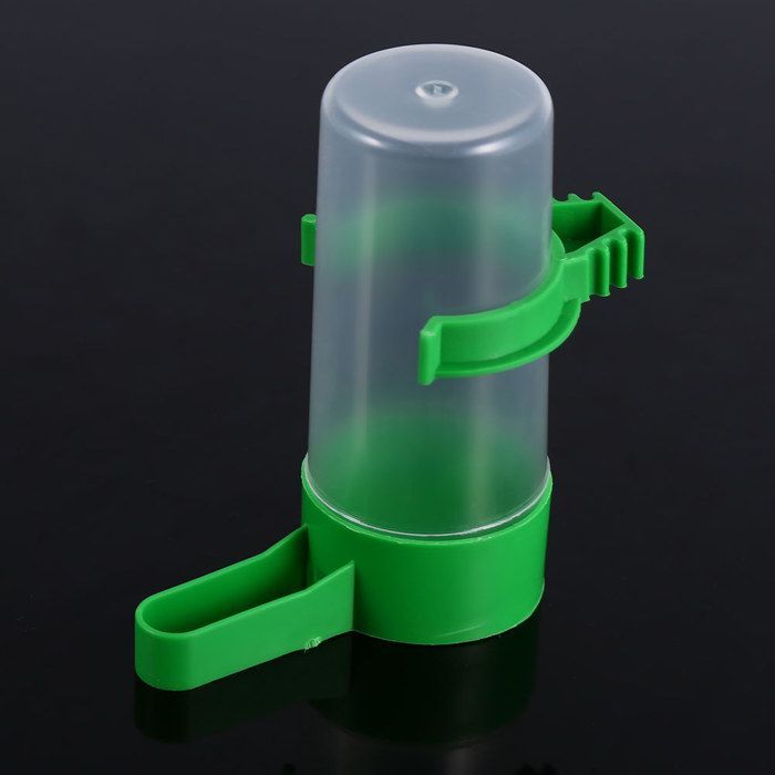 Lot de 4 abreuvoirs pour animaux de compagnie, mangeoire, abreuvoir, clip pour cage, oiseau, perroquet, calopsitte, perruche
