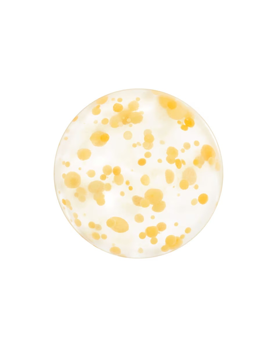 SHISEIDO WASO YUZU-C BEAUTY SPACOVACIA MASKA