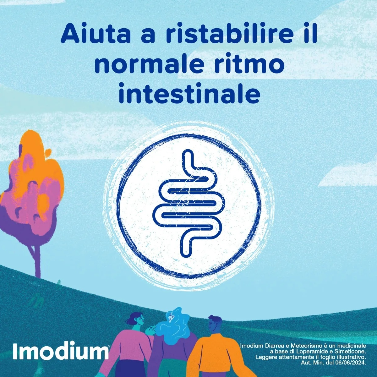 IMODIUM Imodium Diarree en winderigheid 12 tabletten voor de darmen
