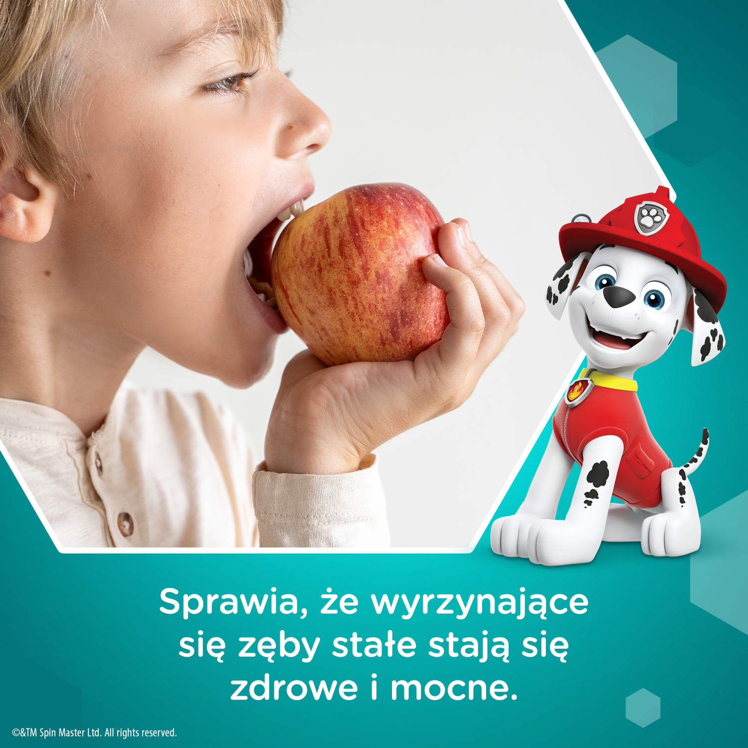 Aquafresh pasta za zube za djecu 6+ godina 50 ml My Big Teeth