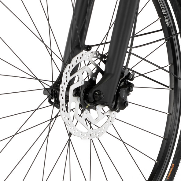 Trekking E-bike Viator 6.0i, Heren