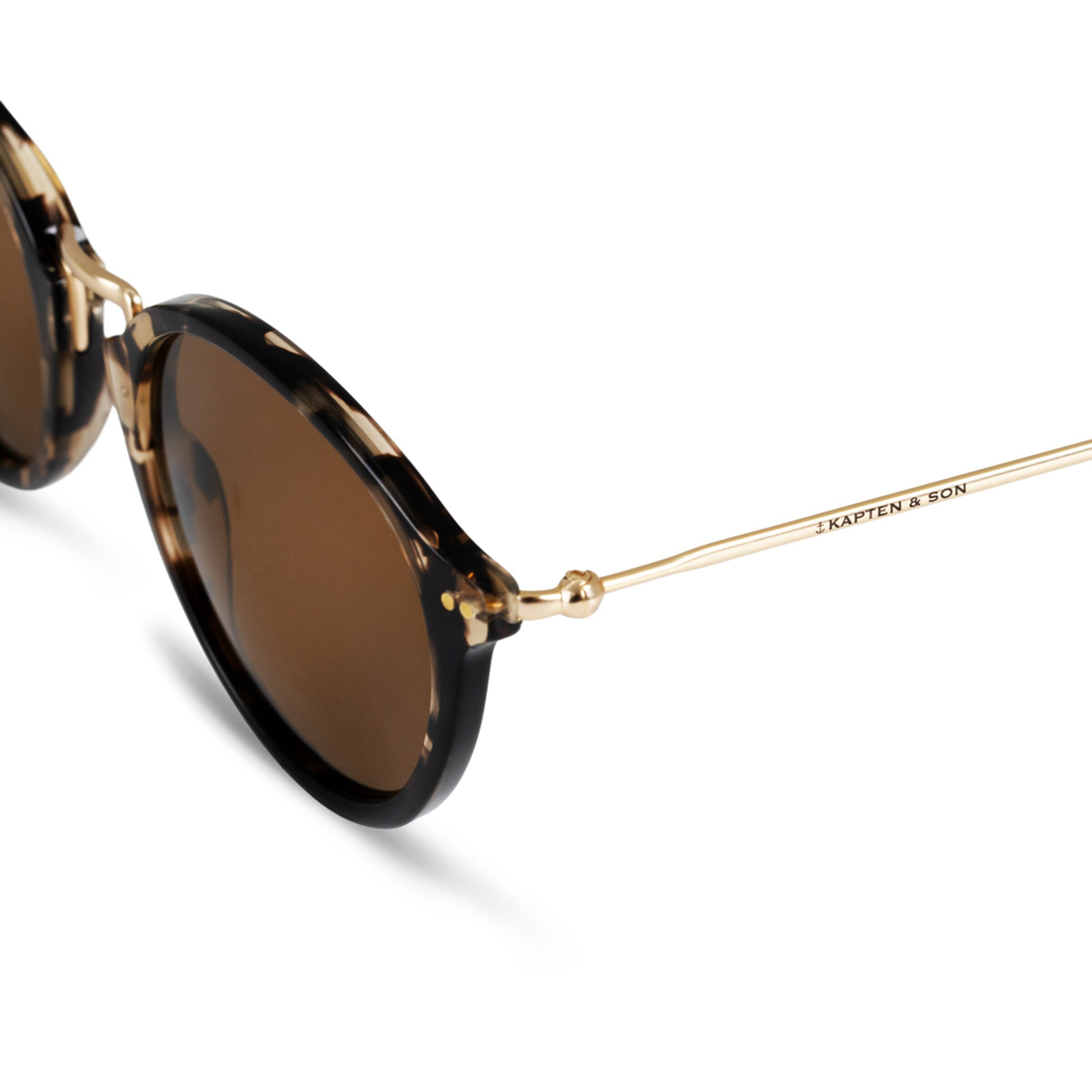 Tortue cristal Maui brune