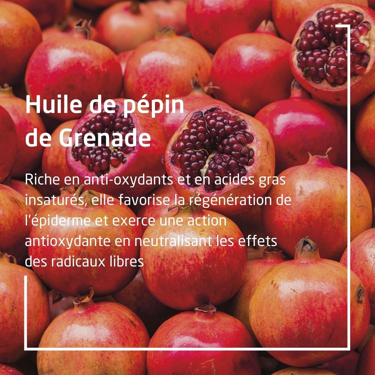 Weleda GRENADE Crème Mains antioxydante