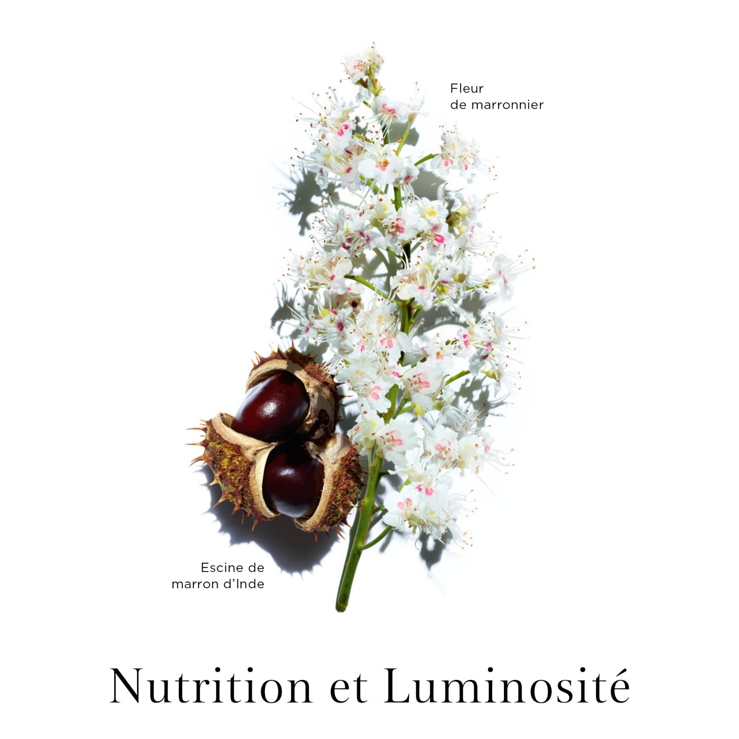 Clarins Emulsion revitalisante lumière