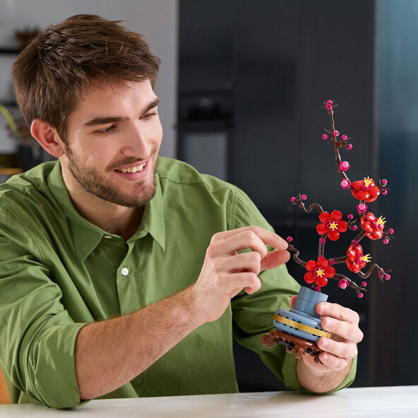 Εικονίδια Άνθος Δαμασκηνιάς 10369