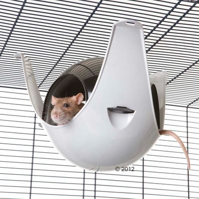 Sputnik-hangput