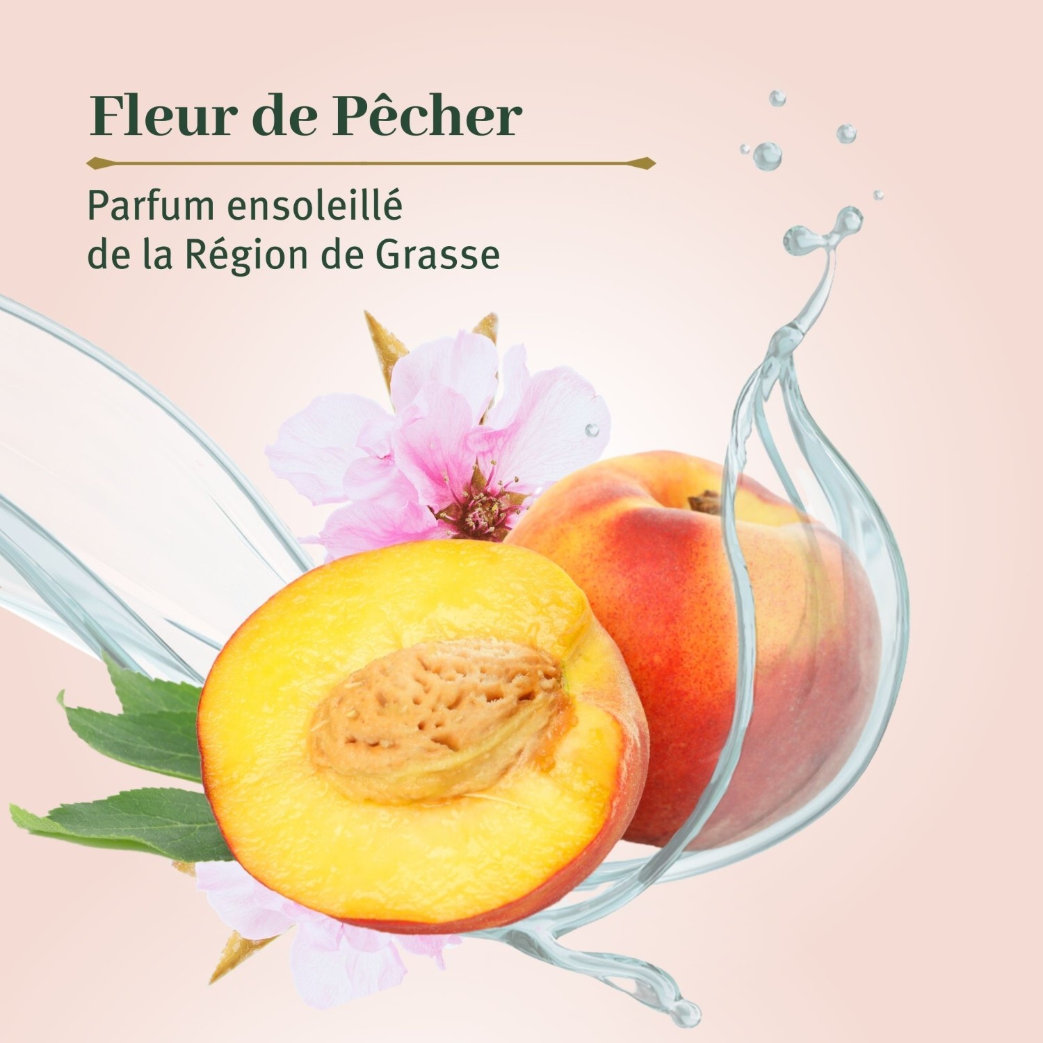 Le Petit Olivier Pur Savon Liquide de Marseille Parfum Fleur de Pêcher