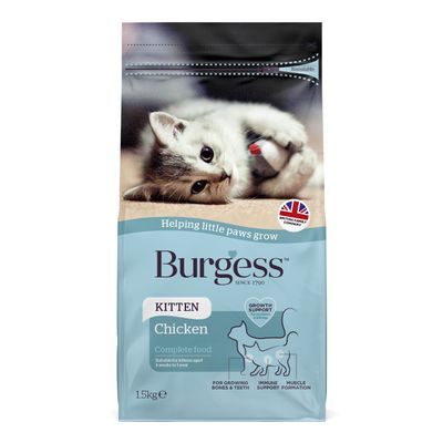 Kotek Burgess z kurczakiem