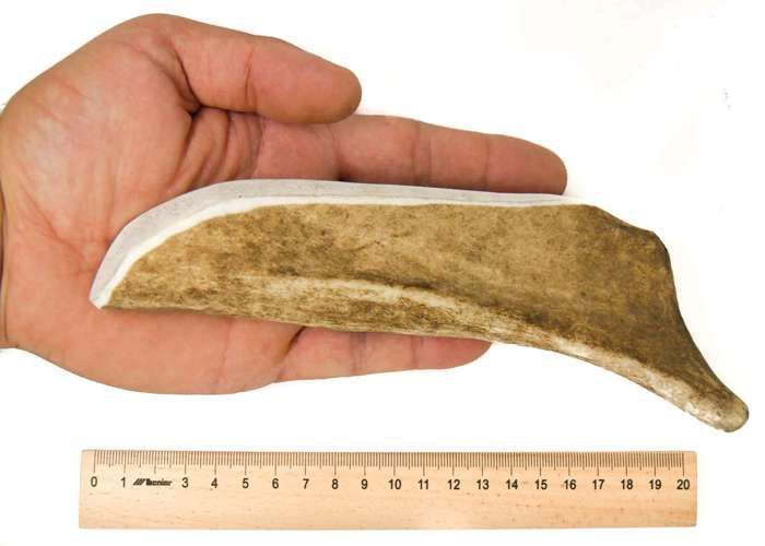 RF - DEER Bois de Daim XL, 81-120g, 18-21 cm, Soft, 100% Naturel Bâtonnets Jouets à mâcher pour Chiots et Chien