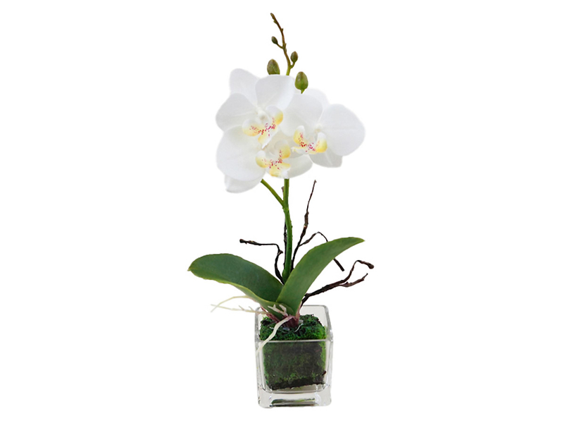 Sztuczna orchidea w doniczce 24 cm biała