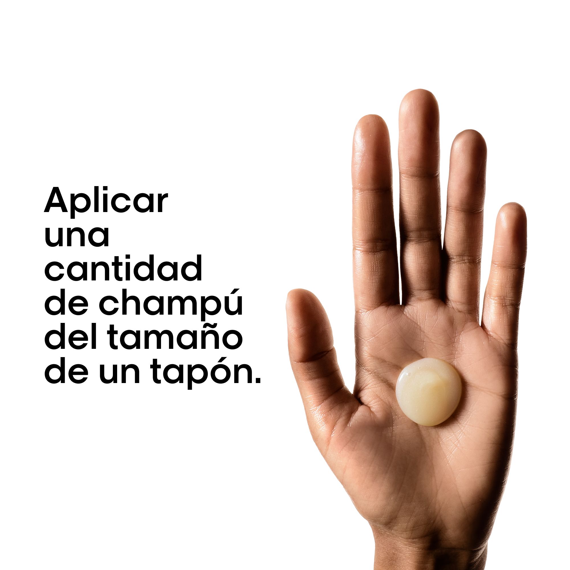 Serie Expert Absolut Repair šampūna uzpilde Salonu šampūni