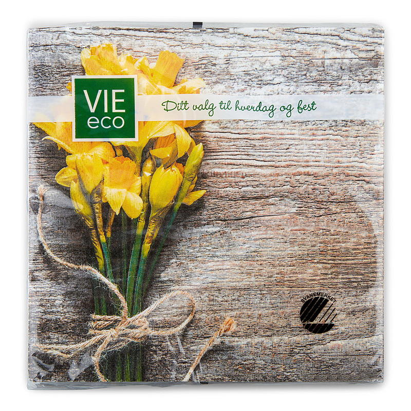 Vie Home -lautasliinat 20 kpl 33x33 cm, pääsiäinen