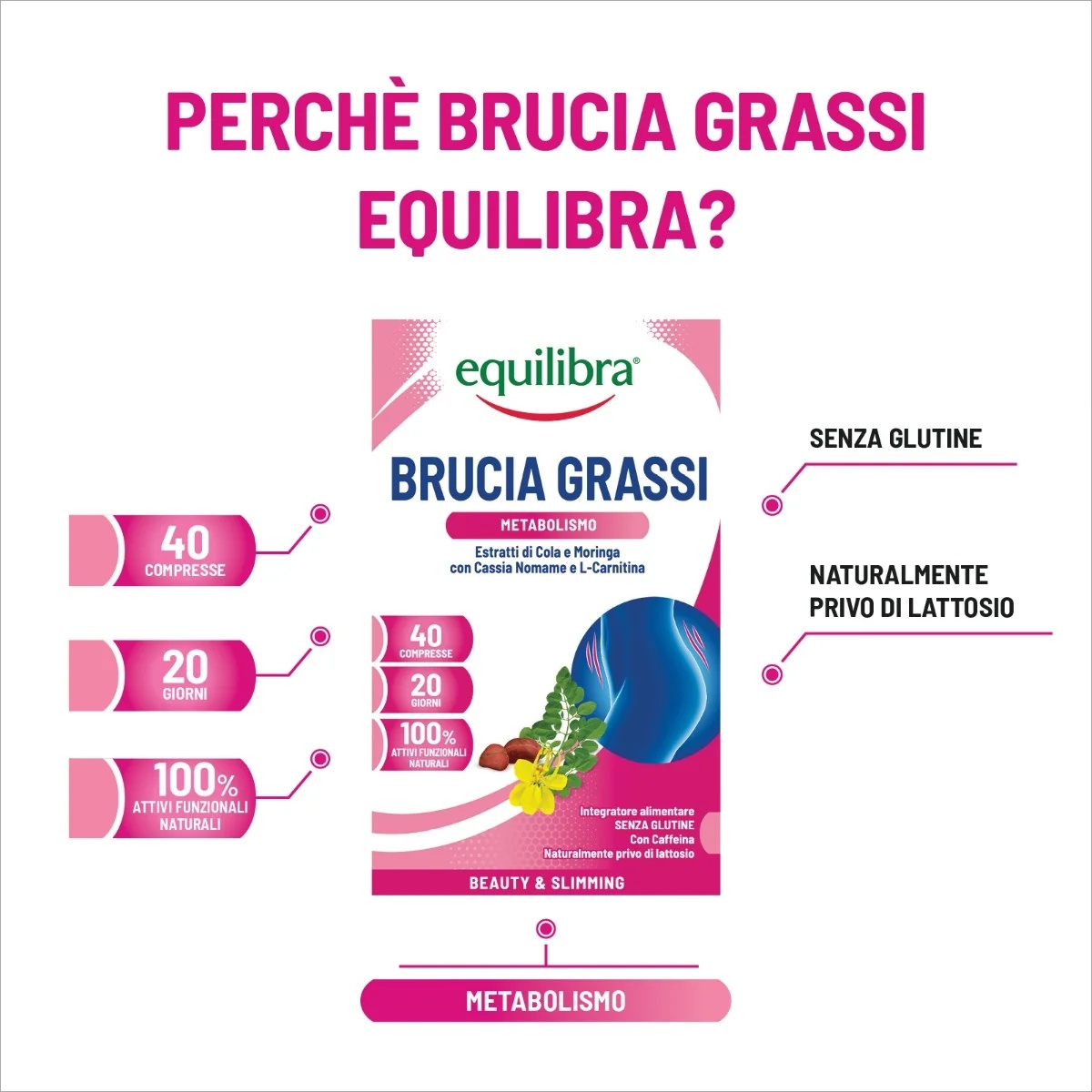EQUILIBRA Equilibra Brûleur de graisse 40 capsules Complément alimentaire pour le contrôle du poids