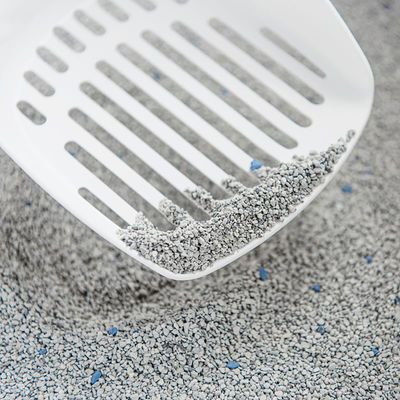 Areia higiênica para gatos Intersand Classic com aroma de pinheiro