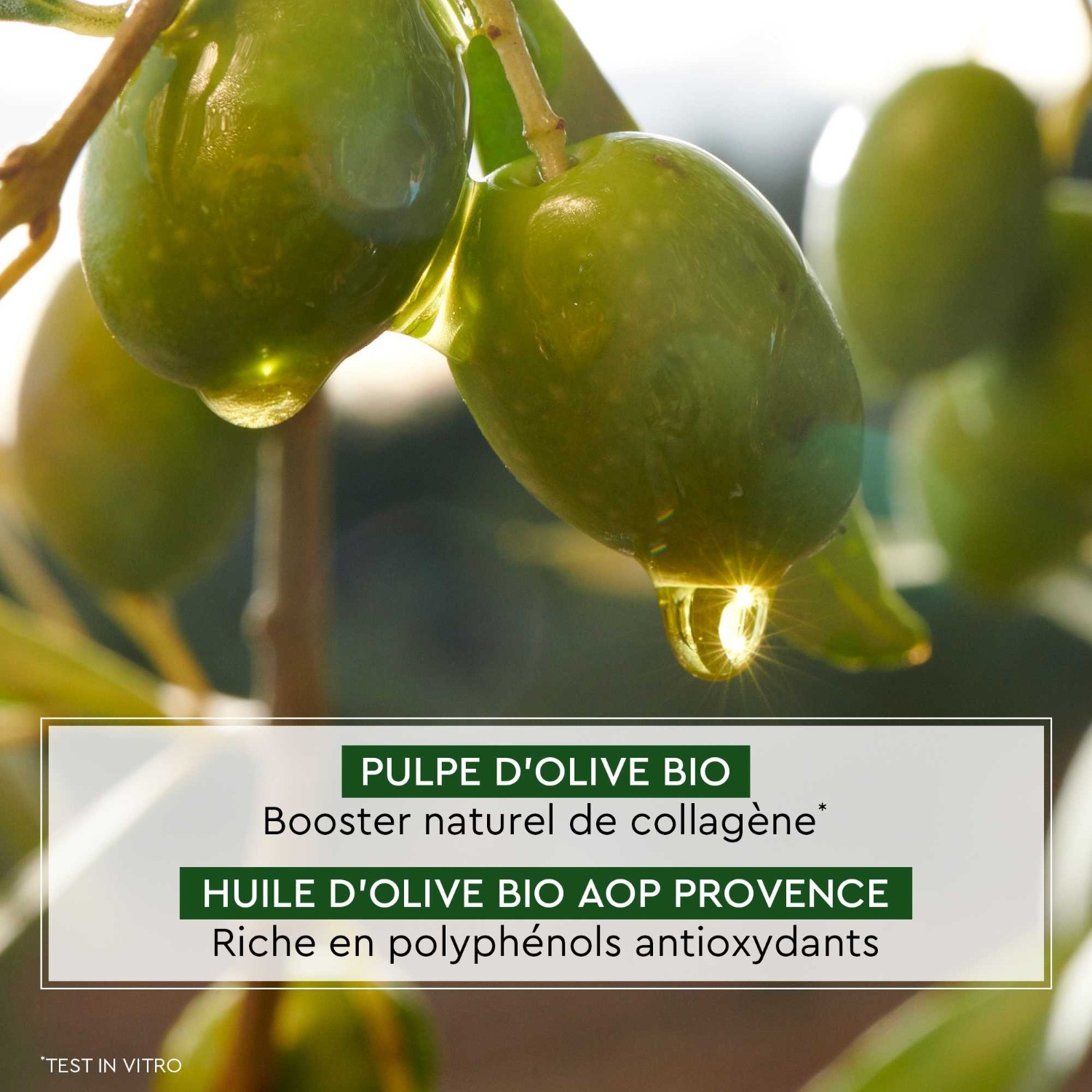 La Provençale Crème Redensifiante Peaux Matures certifiée bio