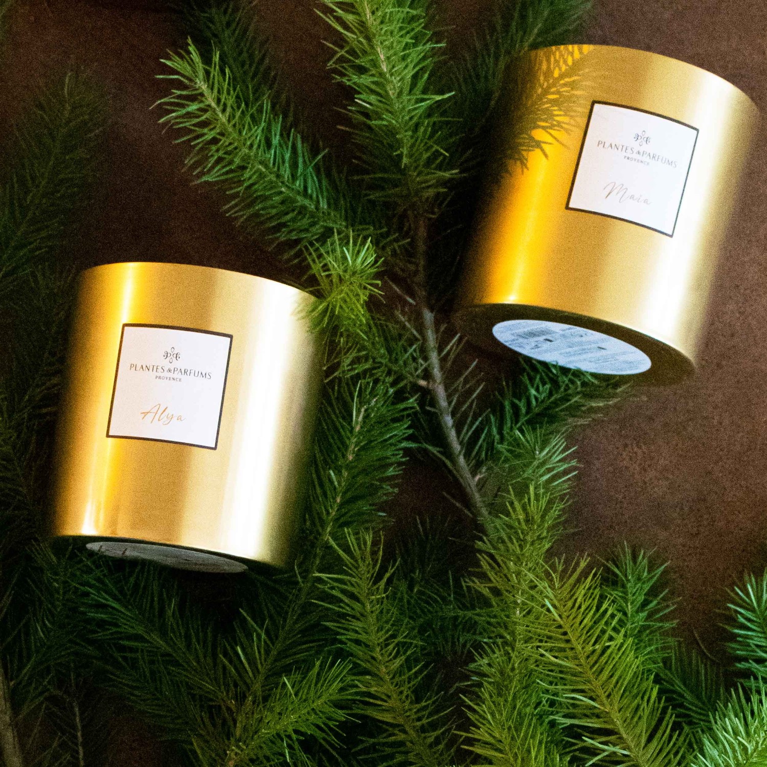 Plantes & Parfums Maïa