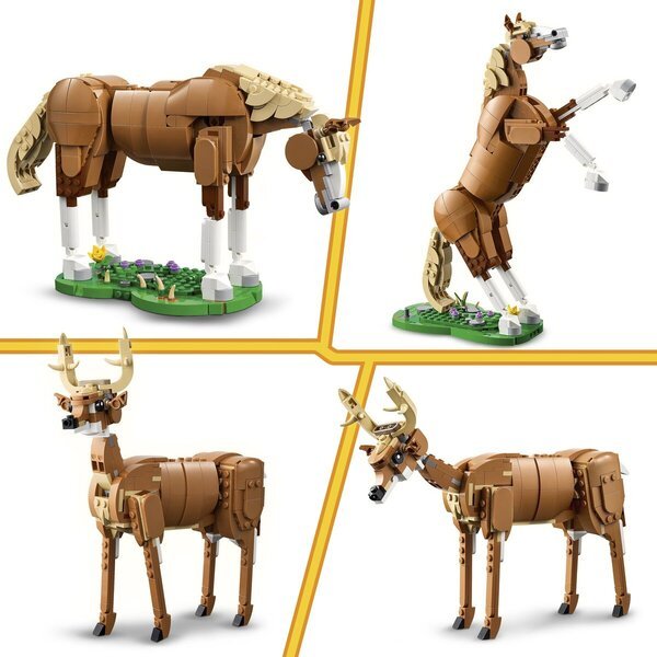 LEGO Creator 31166 Krásny kôň