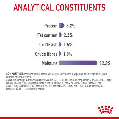 Royal Canin Appetite Control Care in salsa gravy