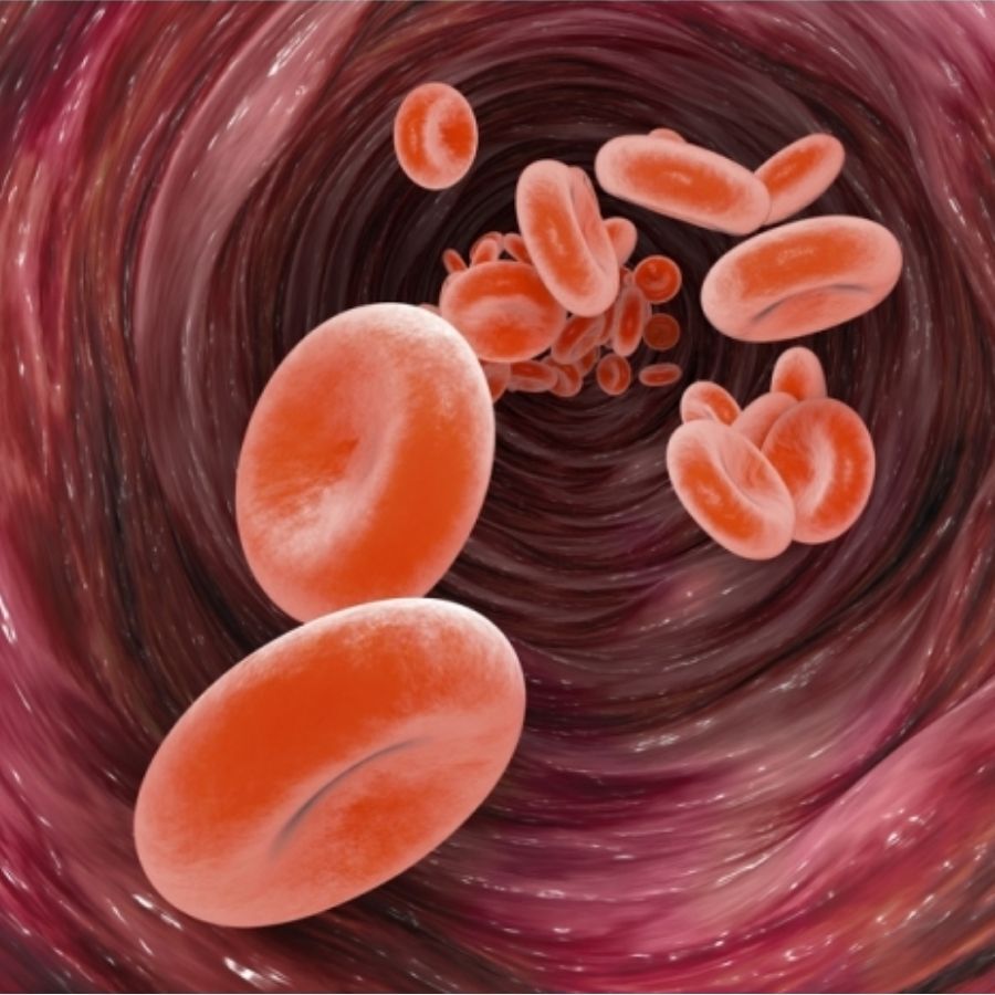 Kenay Hesperydyna Cardiose