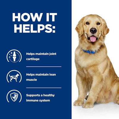 Hill's Prescription Diet Canine j/d Joint Care - Poulet