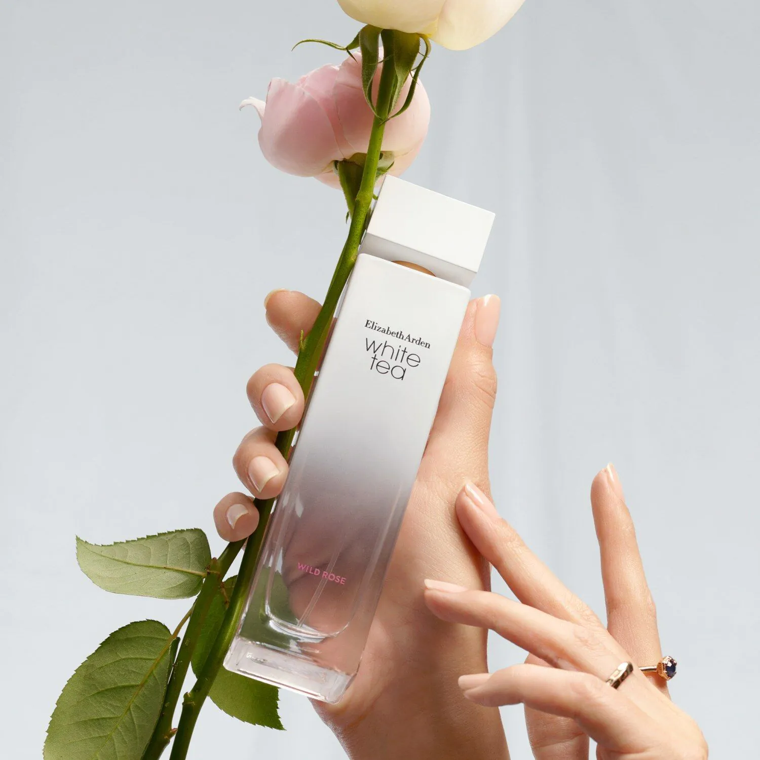 Elizabeth Arden White Tea Wild Rose Woda toaletowa dla kobiet 100 ml