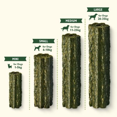 Masticabile dentale Woofbrush di Lily's Kitchen - Grande