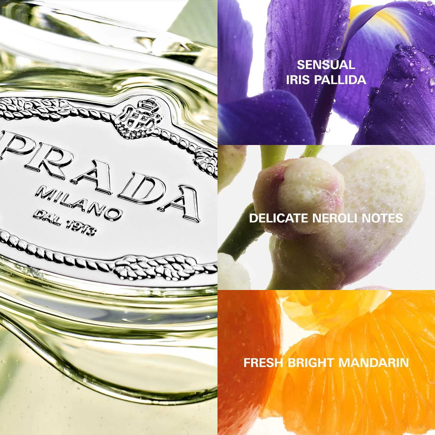 Prada Infusion D'Iris Eau de Parfum 100 ml
