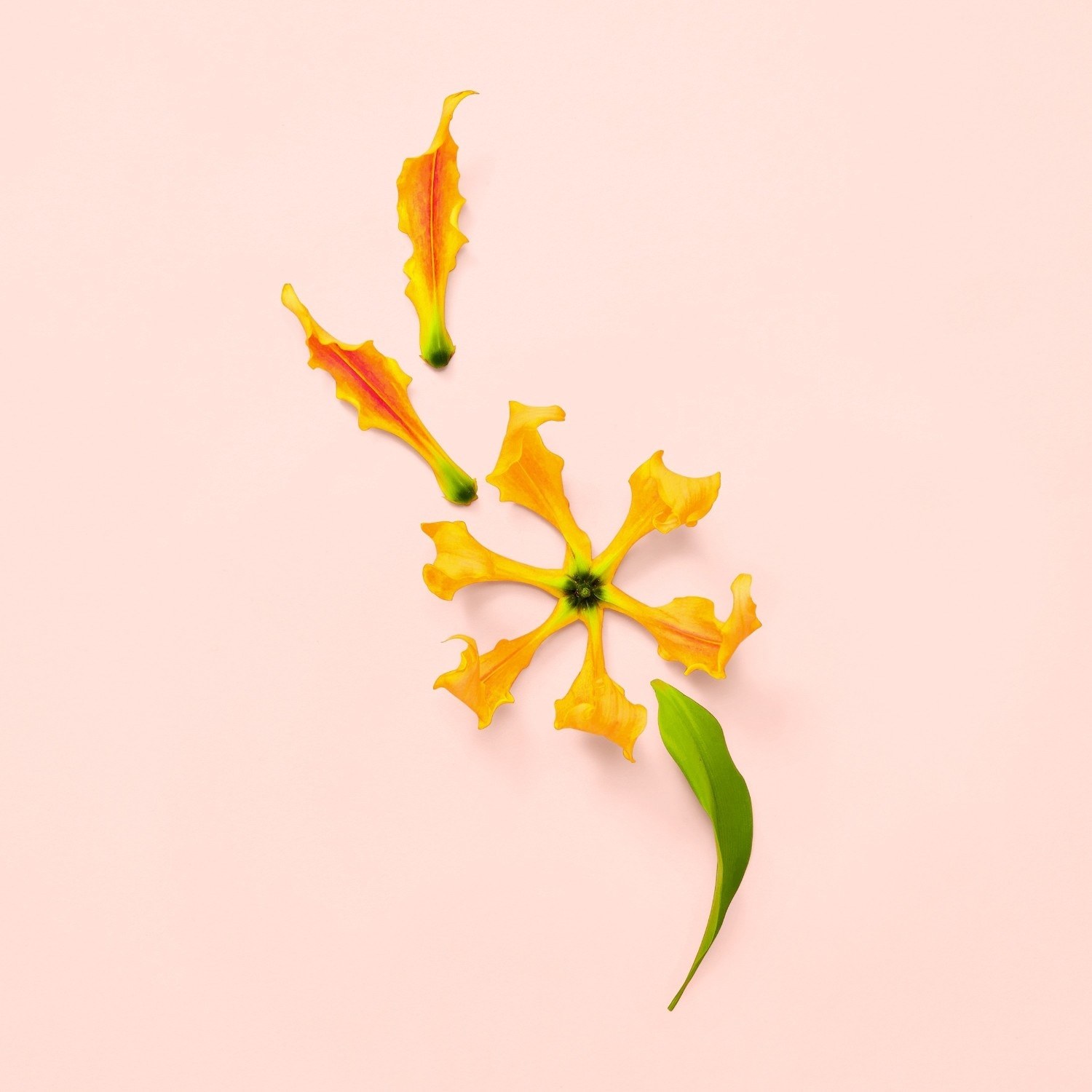 Gucci parfimērijas ūdens Gucci Bloom Flower Fragrances Eau de Parfum Spray - 30 ml